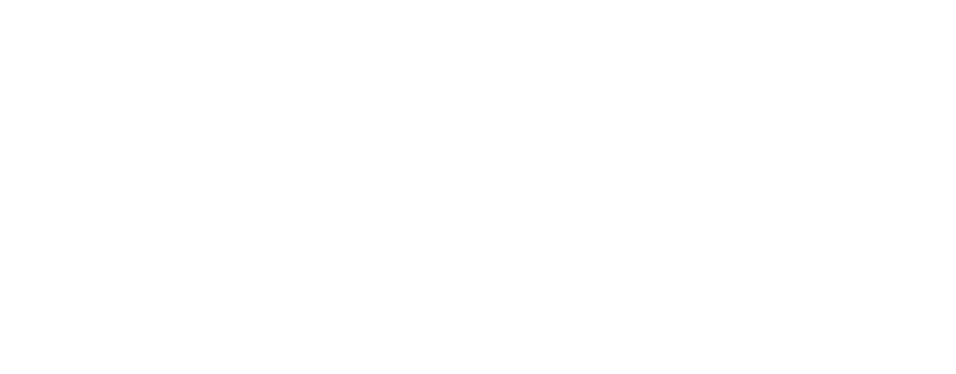 Soloin Tech logo